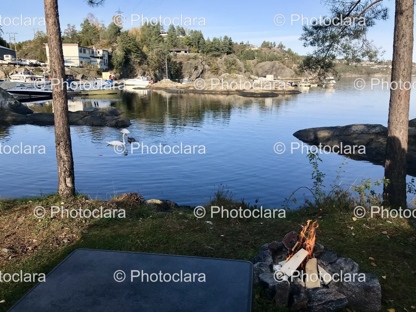 Serene-Fire-Pit-by-the-Lake.jpg