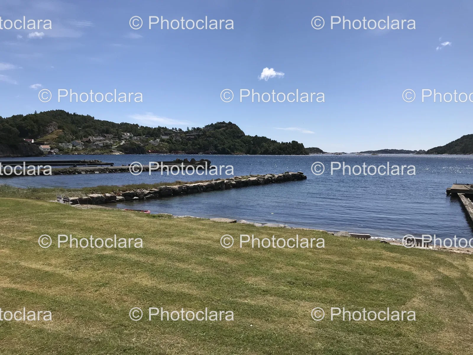 Serene-Grass-Field-by-the-Water.jpg