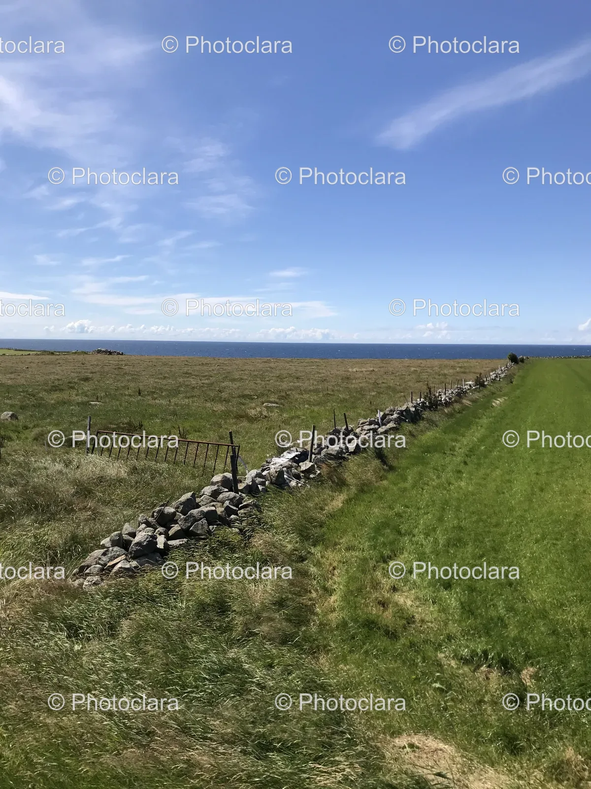 Serene-Grass-Field-Stone-Wall-Water.jpg