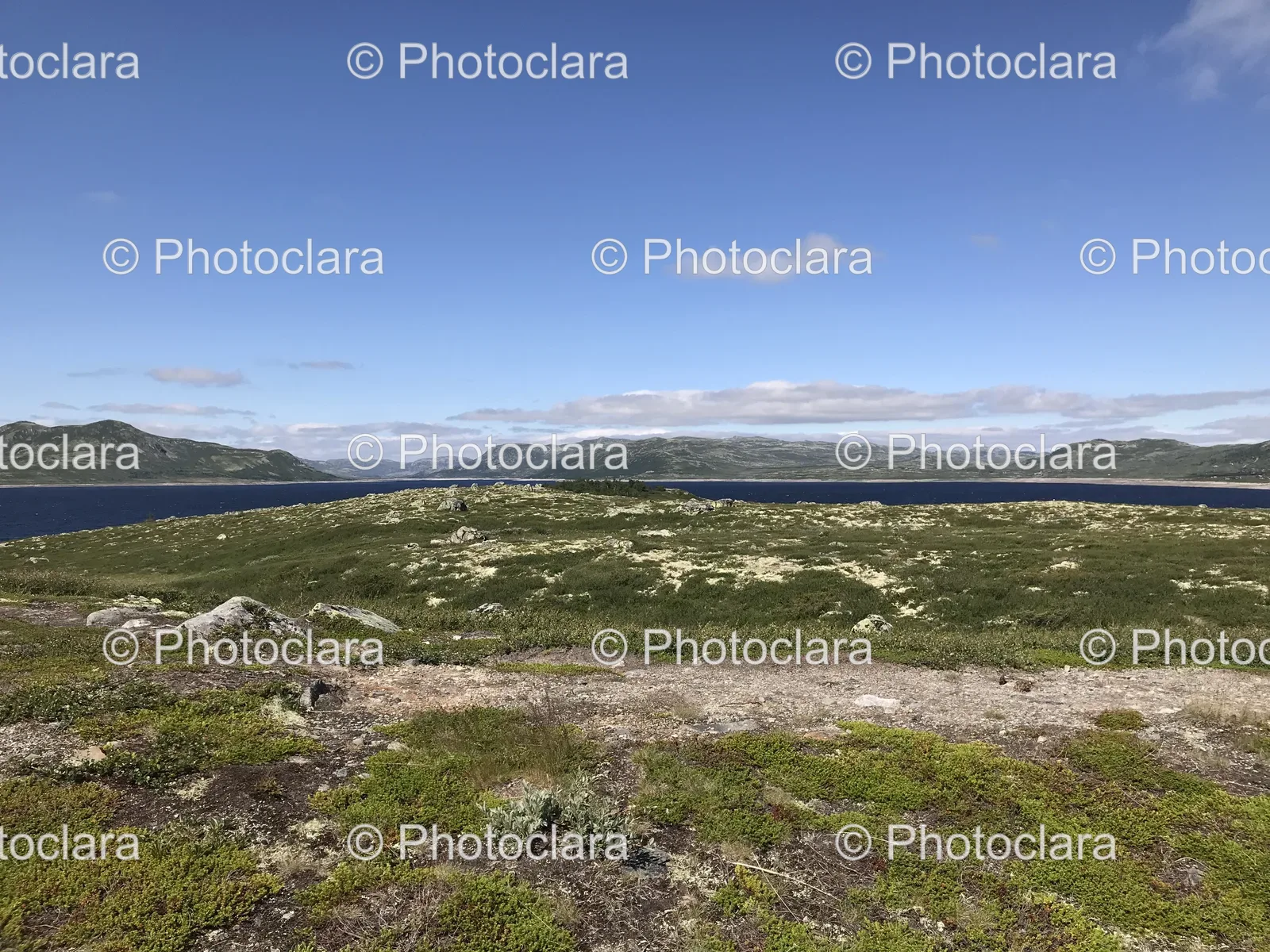 serene-grassy-area-with-water-background.jpg
