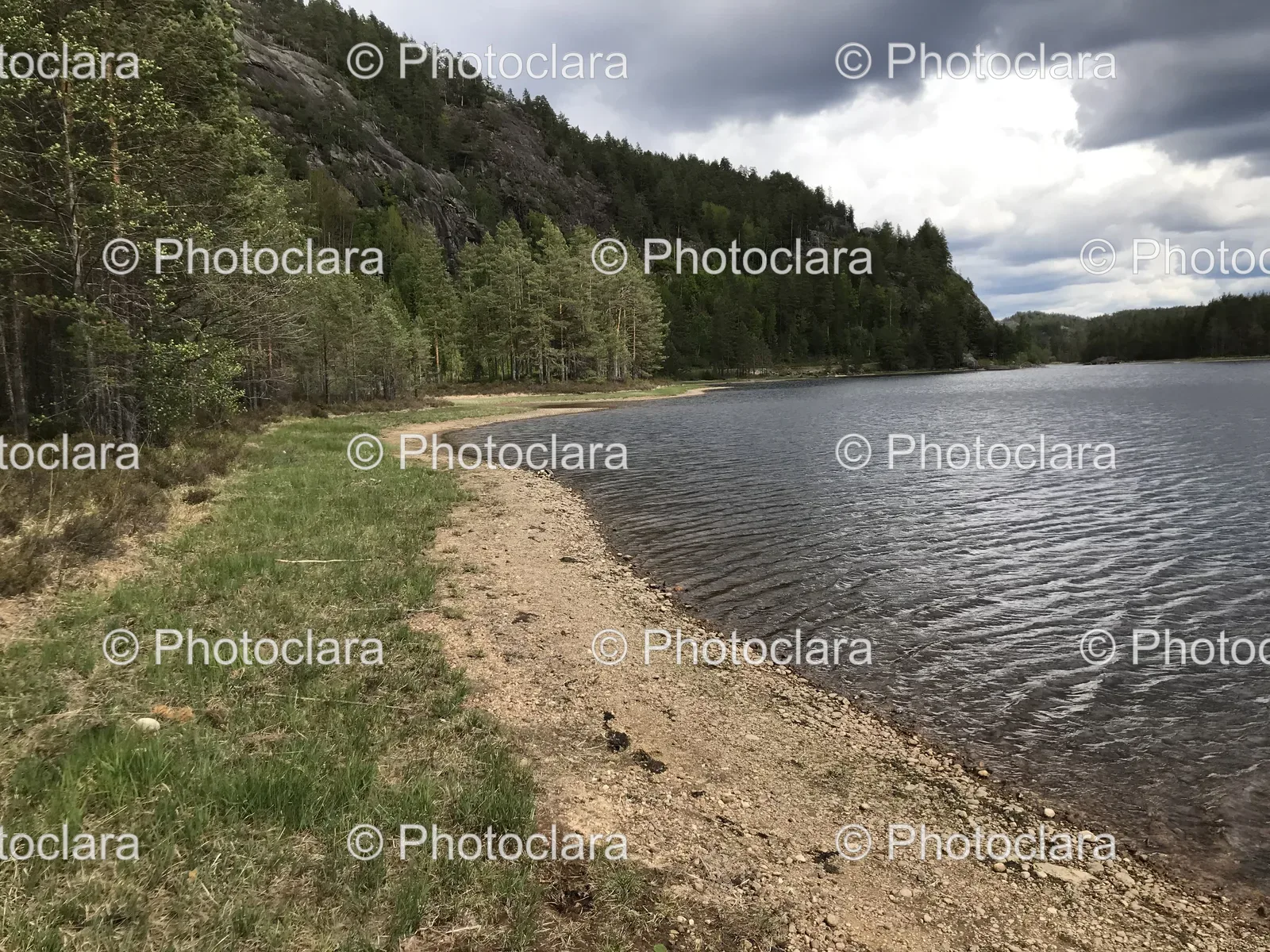 Serene-Lake-with-Grass-and-Trees.jpg