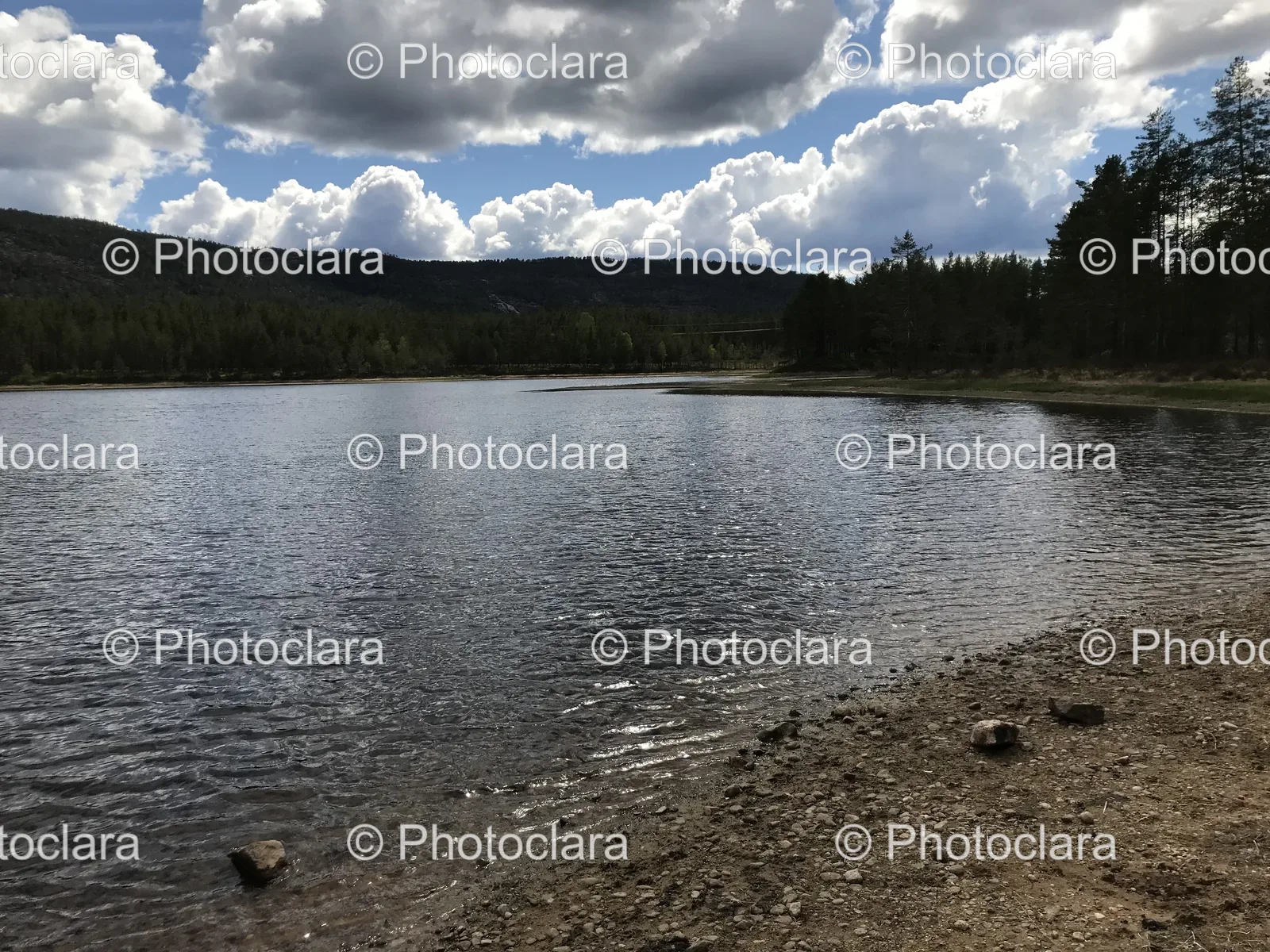serene-lake-with-trees-and-cloudy-sky.jpg