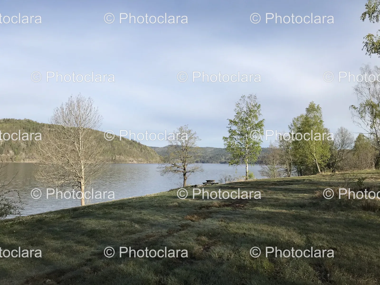 Serene-Lakeside-Landscape.jpg
