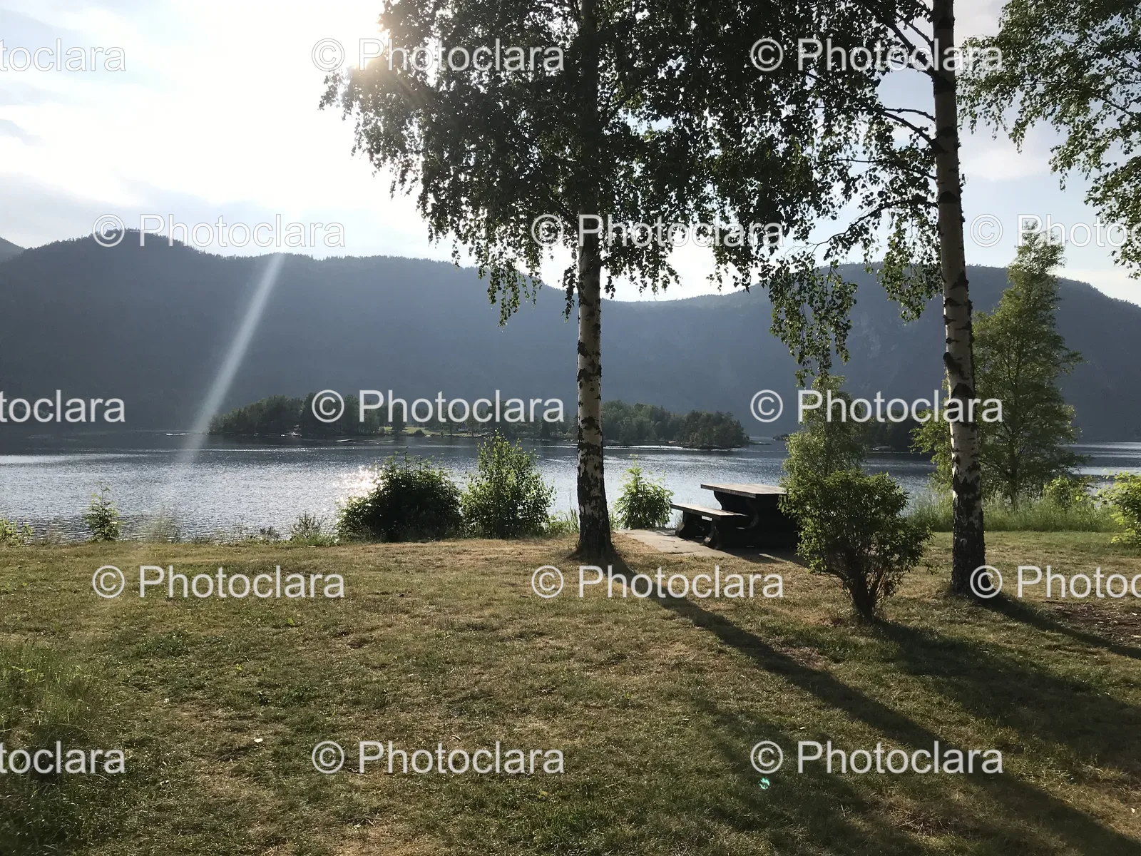 serene-picnic-by-the-lake.jpg
