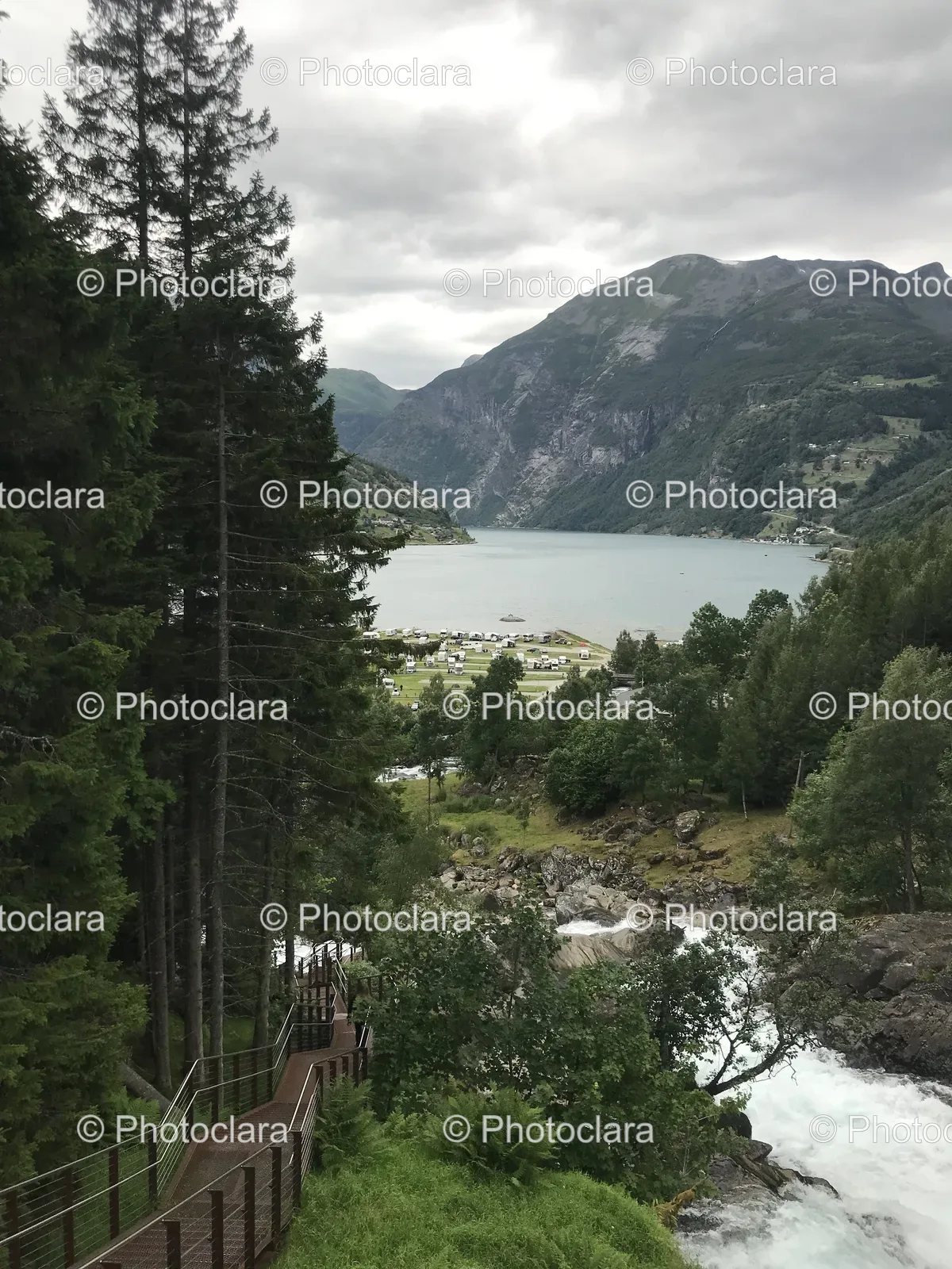 serene-river-dense-forest.jpg