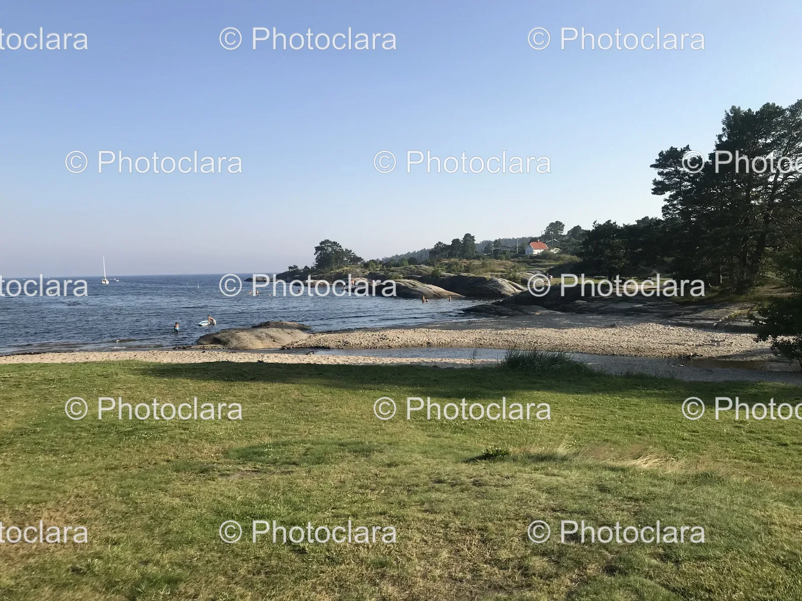 serene-waterside-view-with-trees.jpg