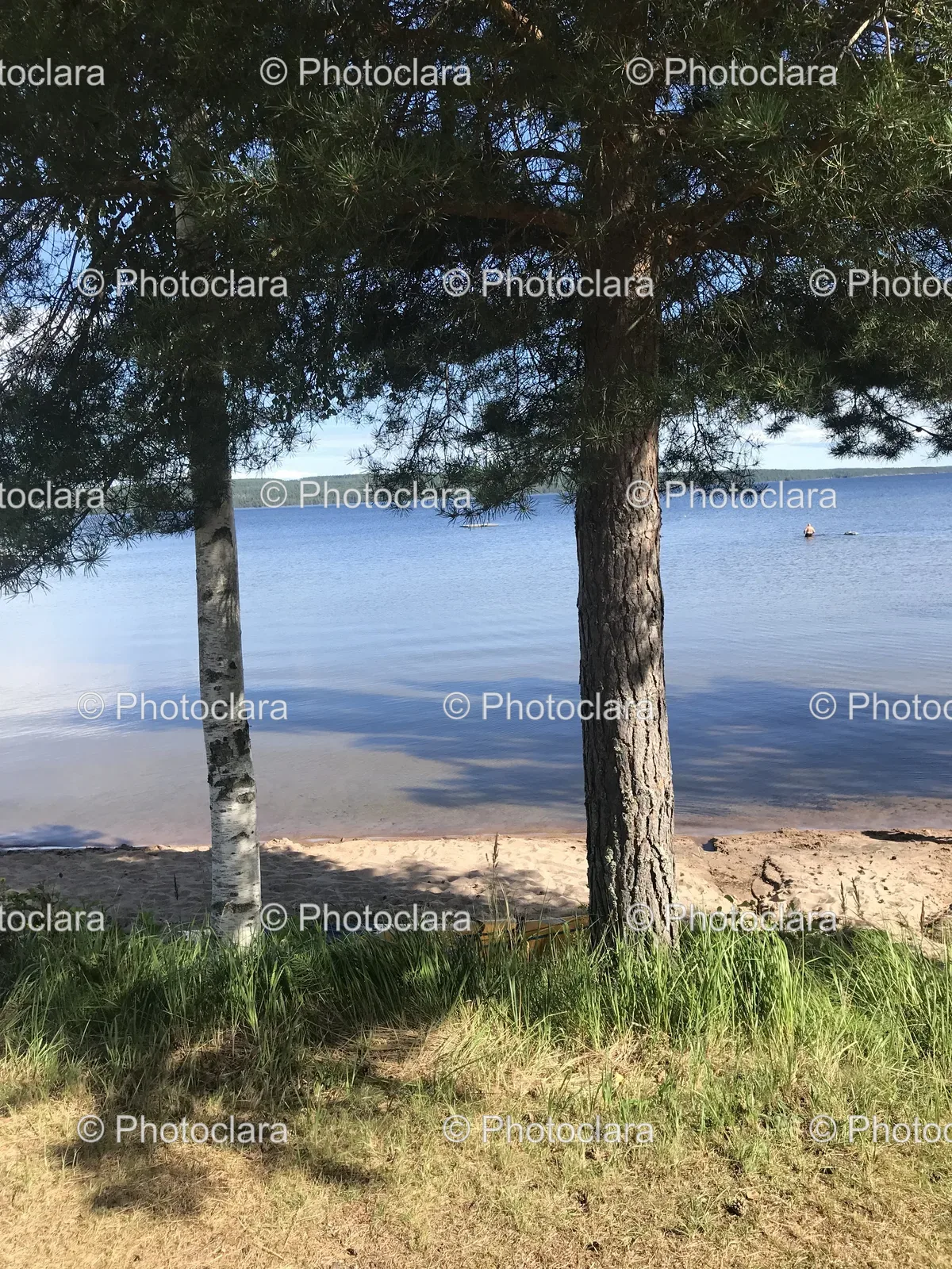 tranquil-trees-by-the-water.jpg