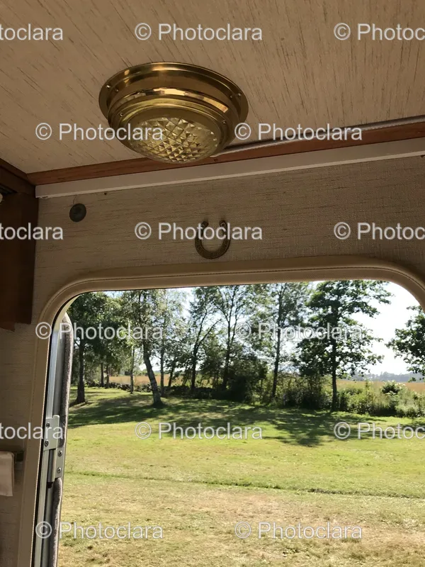 Window Views
