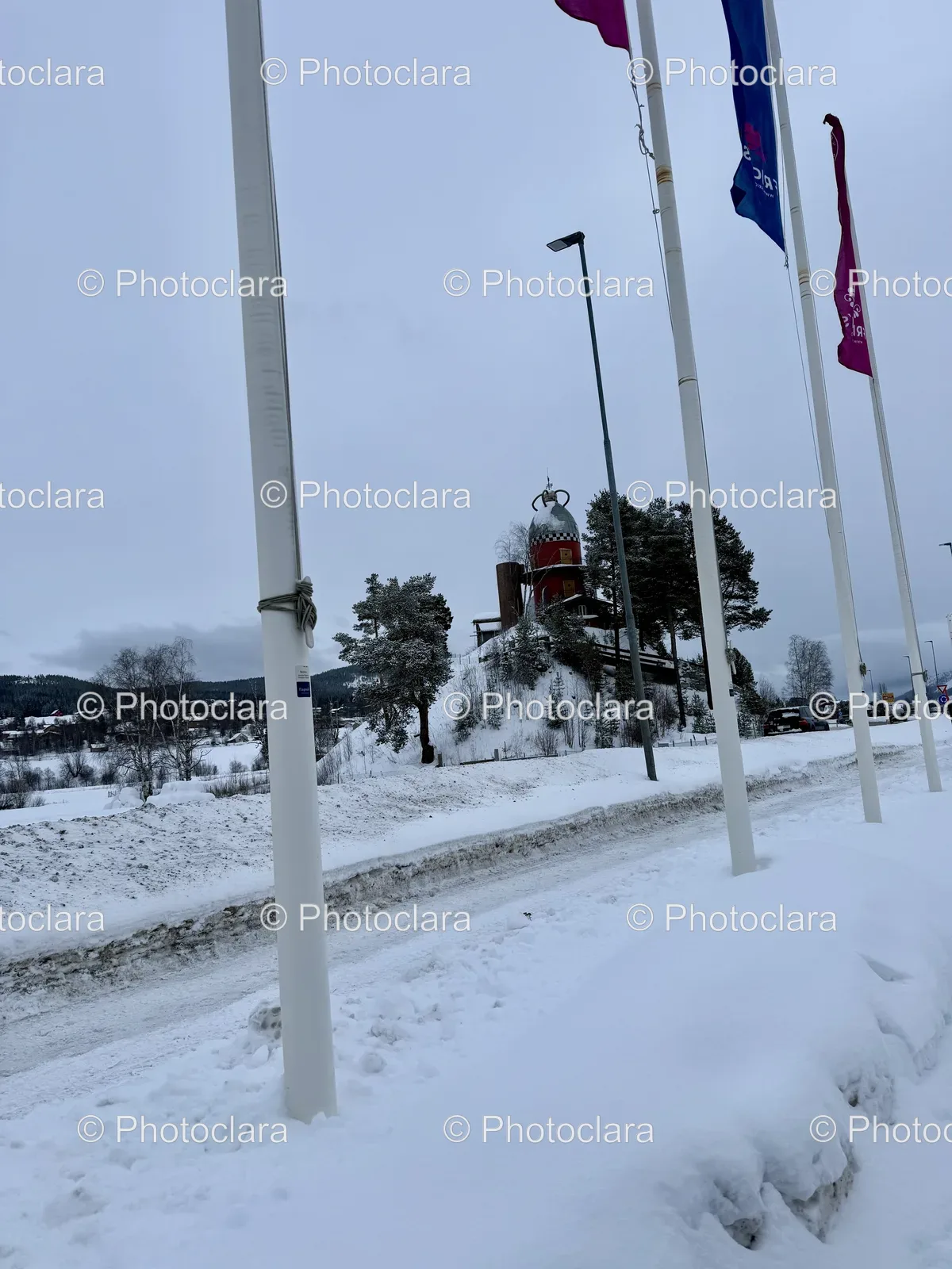 flags-on-a-snowy-road.jpg