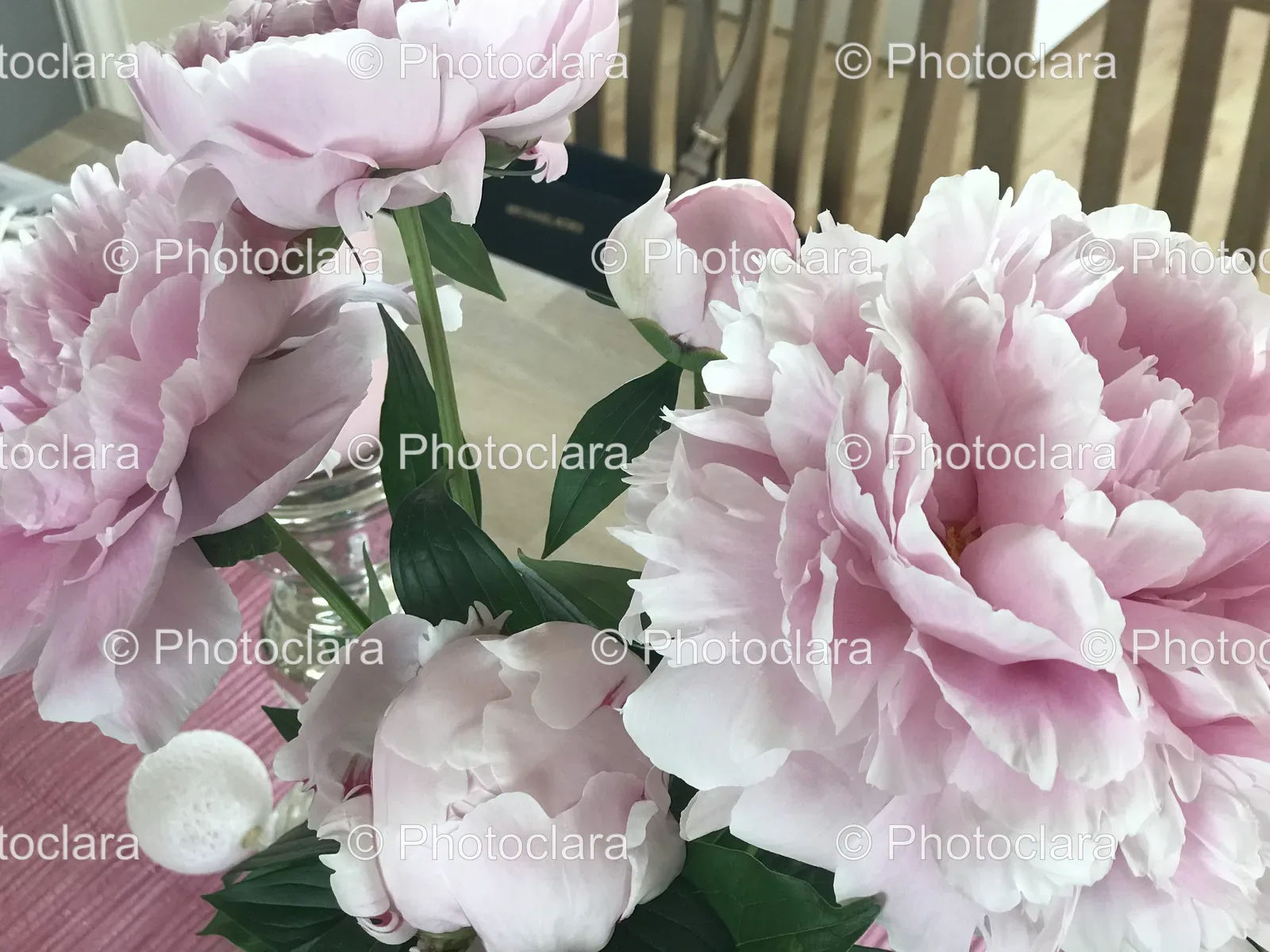 a-group-of-pink-flowers.jpg
