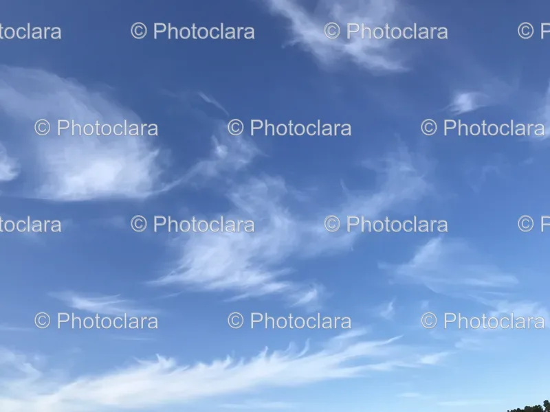 Blue Sky Splendor