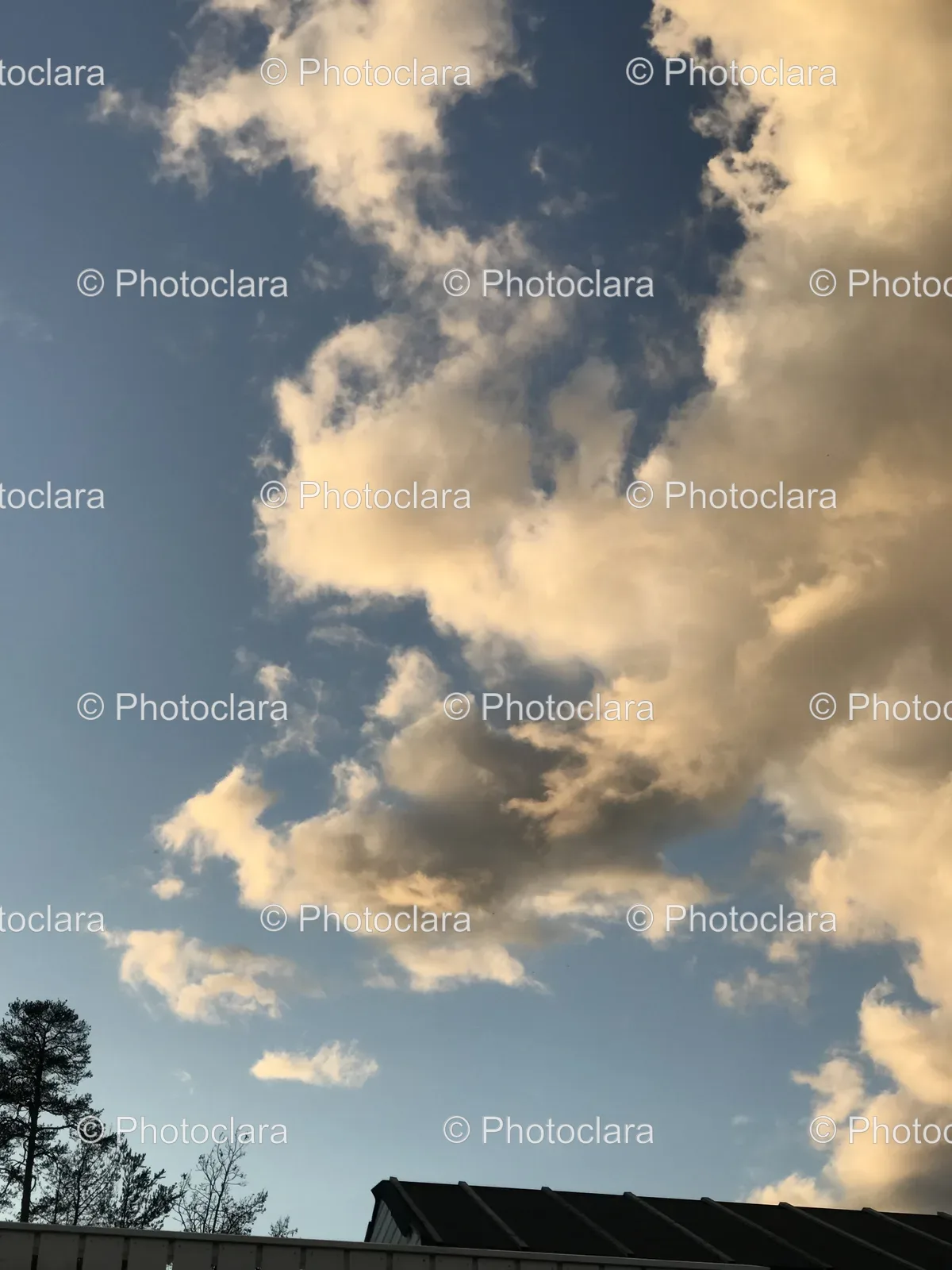 blue-sky-with-clouds-over-trees.jpg