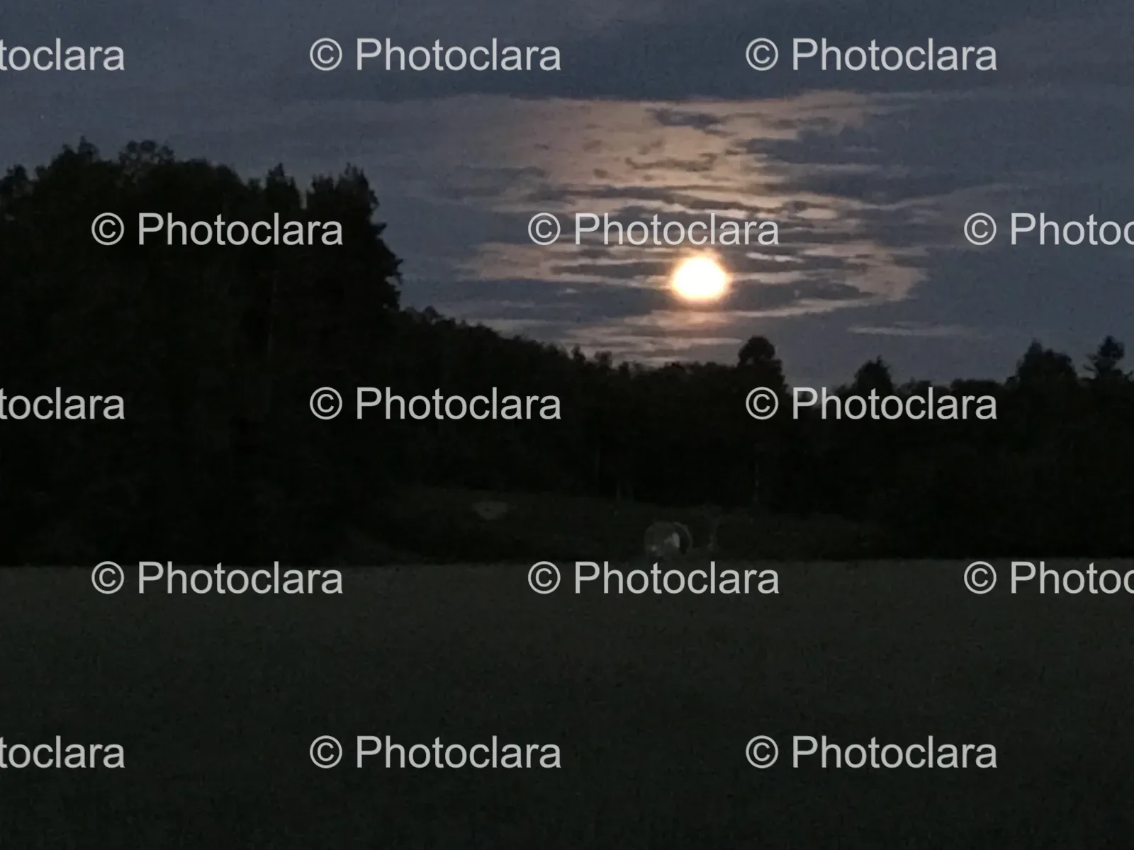 moon-in-the-night-sky.jpg