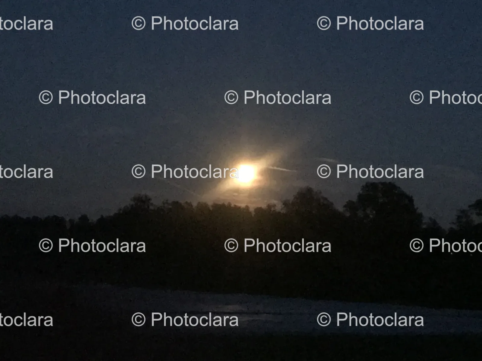 Moonlit-Night-Sky.jpg