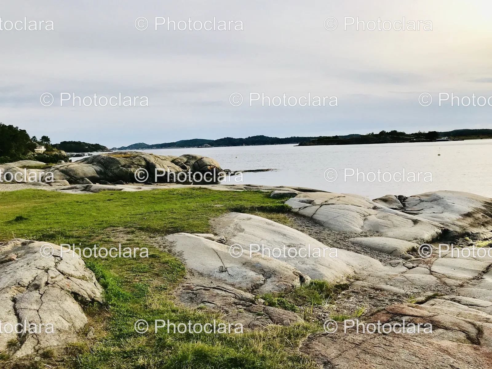 rocky-shoreline-with-grass-and-rocks.jpg