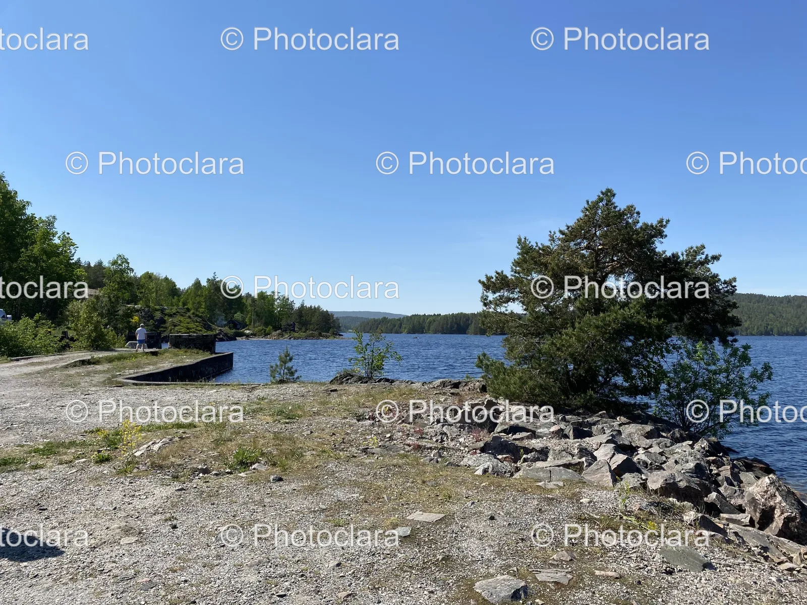 Rocky-Shoreline-with-Trees-and-Waterbody.jpg