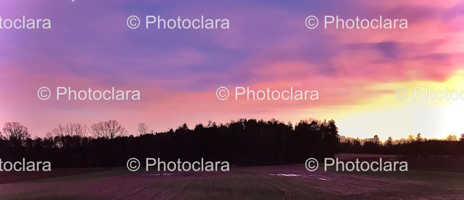 Field-with-Trees-in-Background.jpg