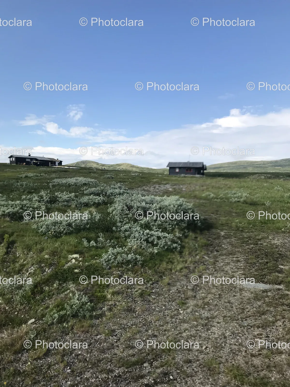 grassy-field-buildings.jpg