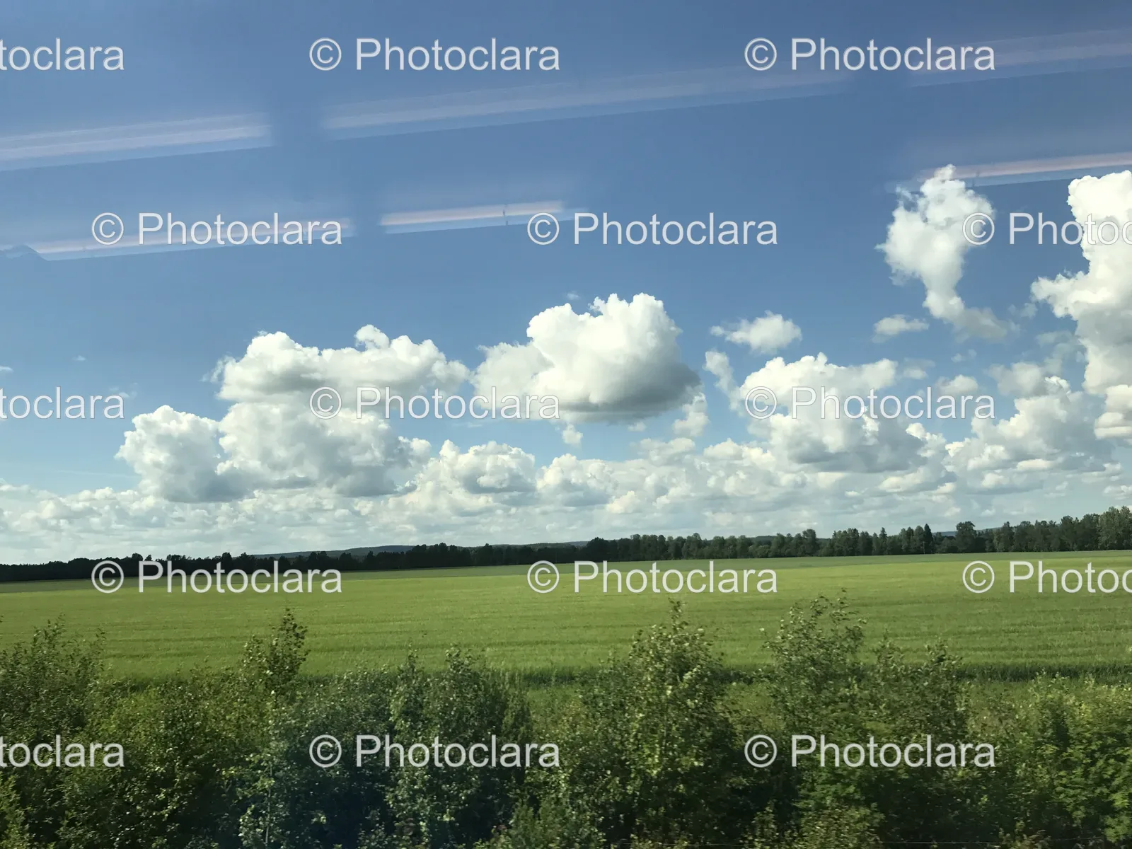 lush-green-field-trees-clear-sky.jpg