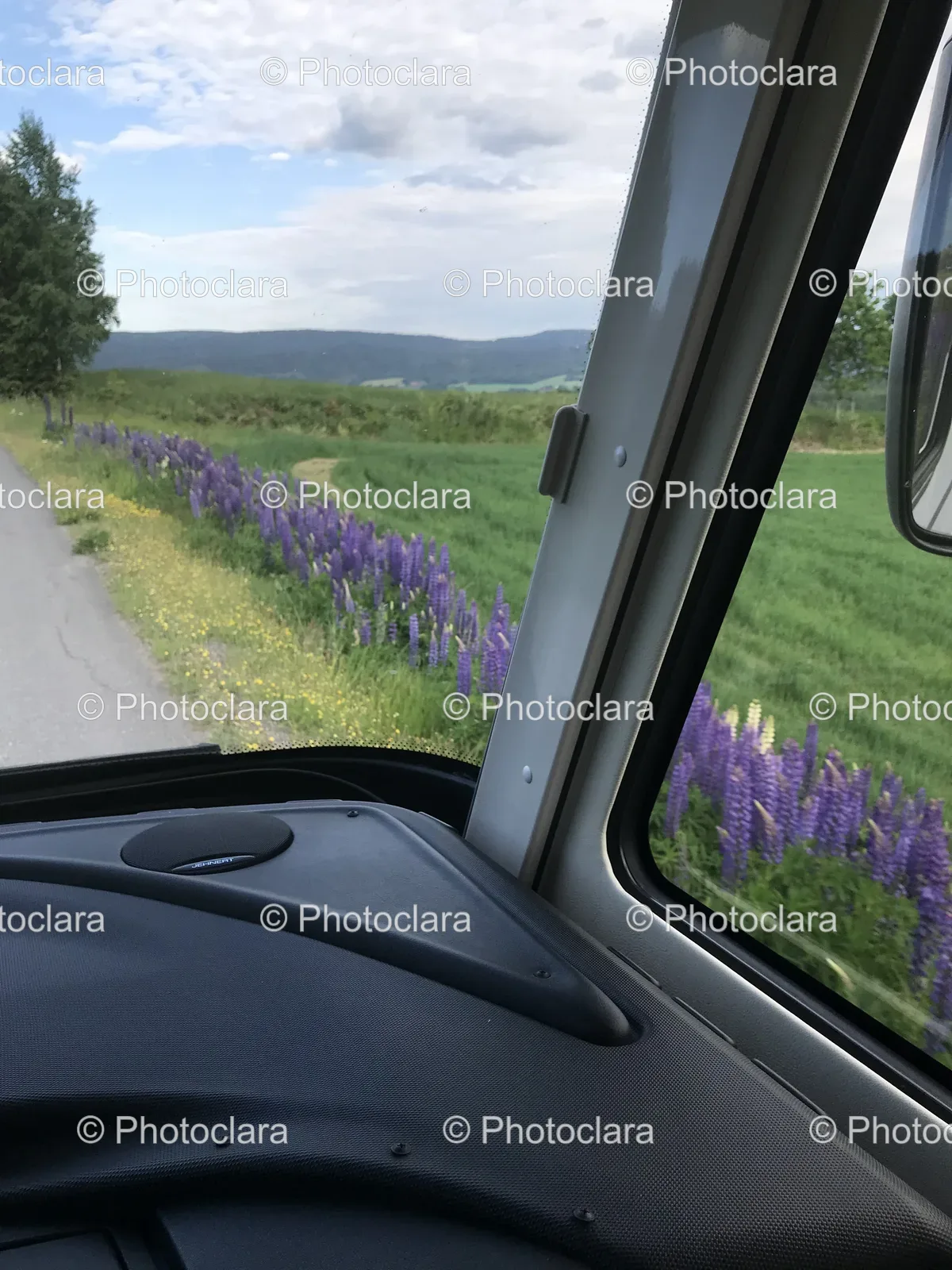 Purple-Flowers-in-Field-Viewed-from-Car-Window.jpg