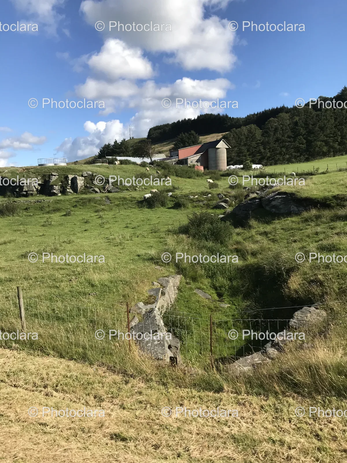 tranquil-field-with-barn-and-building.jpg
