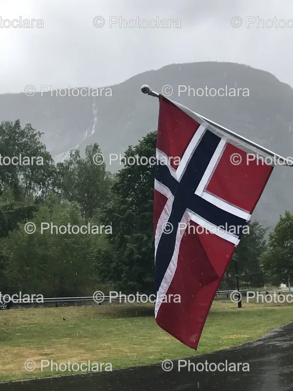 Flags and Scenic Views
