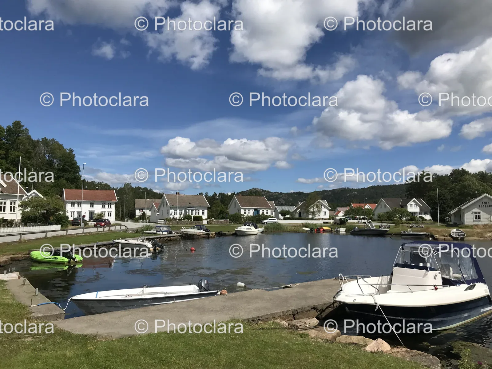 Boats-by-Lakeside-Houses-and-Trees.jpg