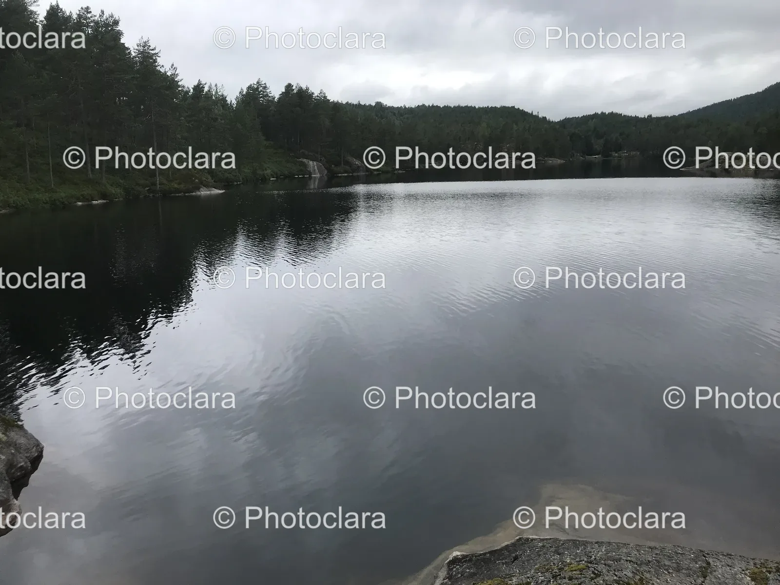 Peaceful-Lakeside-View-with-Trees-in-the-Background.jpg