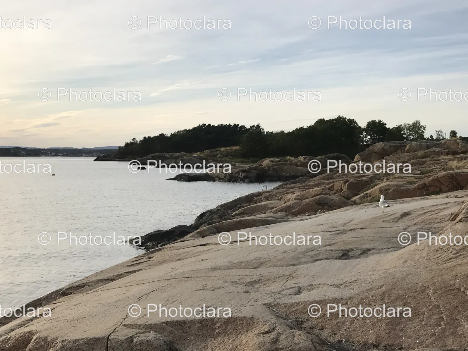 rocky-shoreline-with-trees-by-the-water.jpg