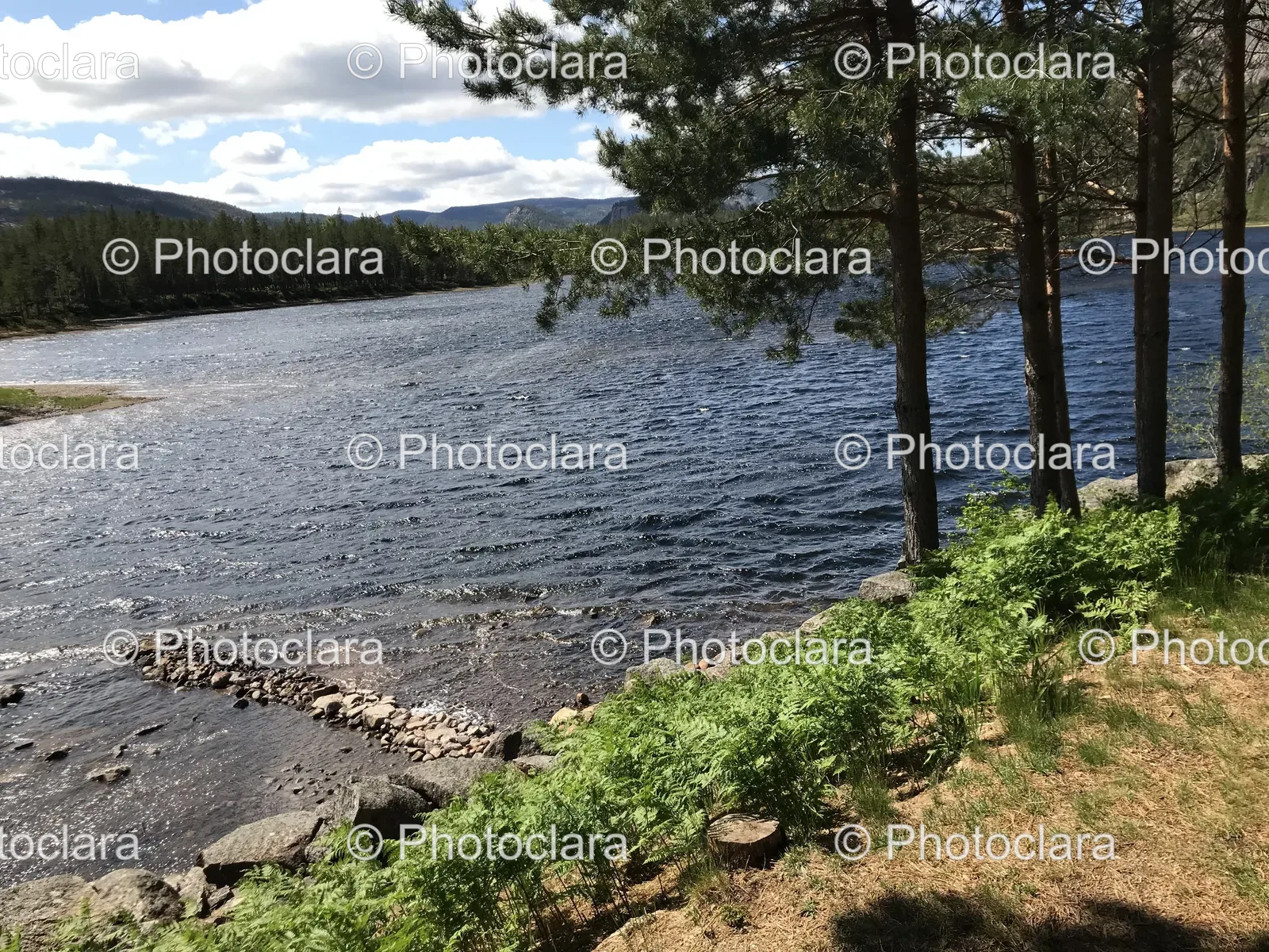serene-lake-with-trees-and-rocks.jpg
