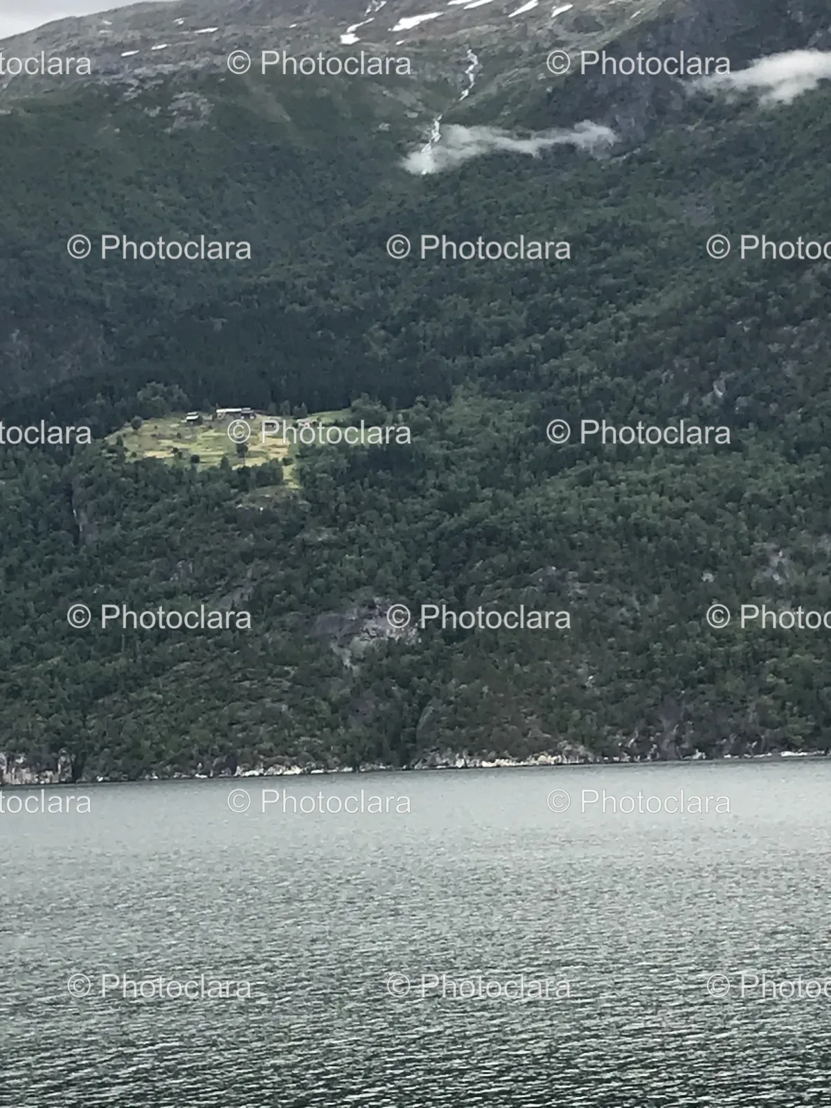 Serene-Lakeside-Green-Hill-Trees.jpg