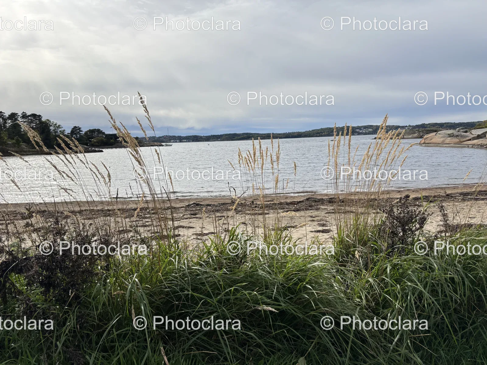 Serene-Lakeside-with-Grass-and-Water.jpg