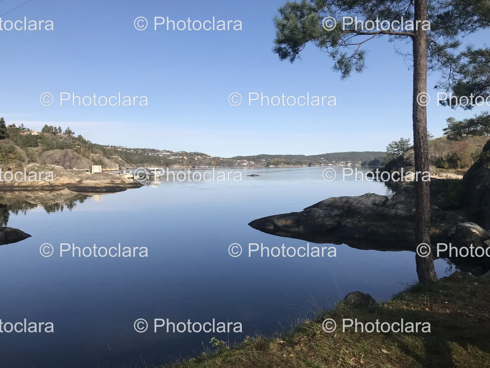 serene-lakeside-with-trees-and-rocks.jpg