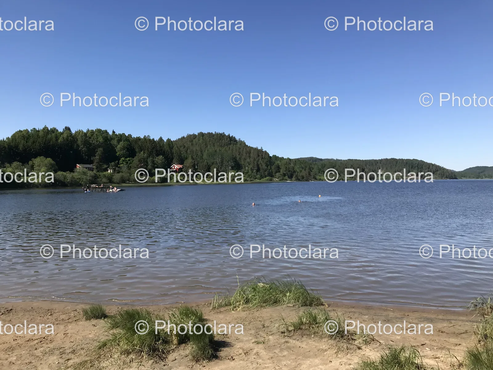 serene-lakeside-with-trees.jpg