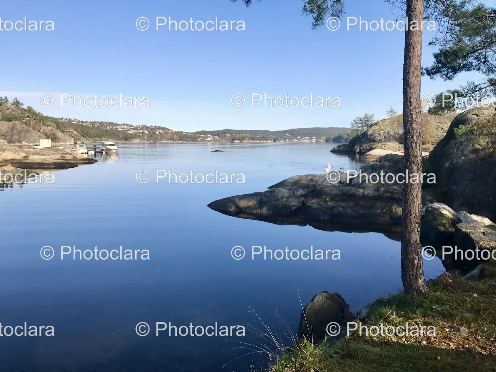 serene-waterfront-trees-rocks.jpg
