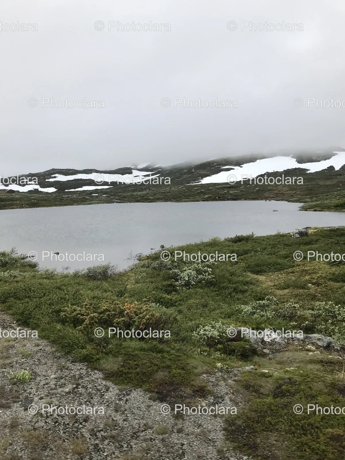 tranquil-lake-amid-grass-and-snow.jpg