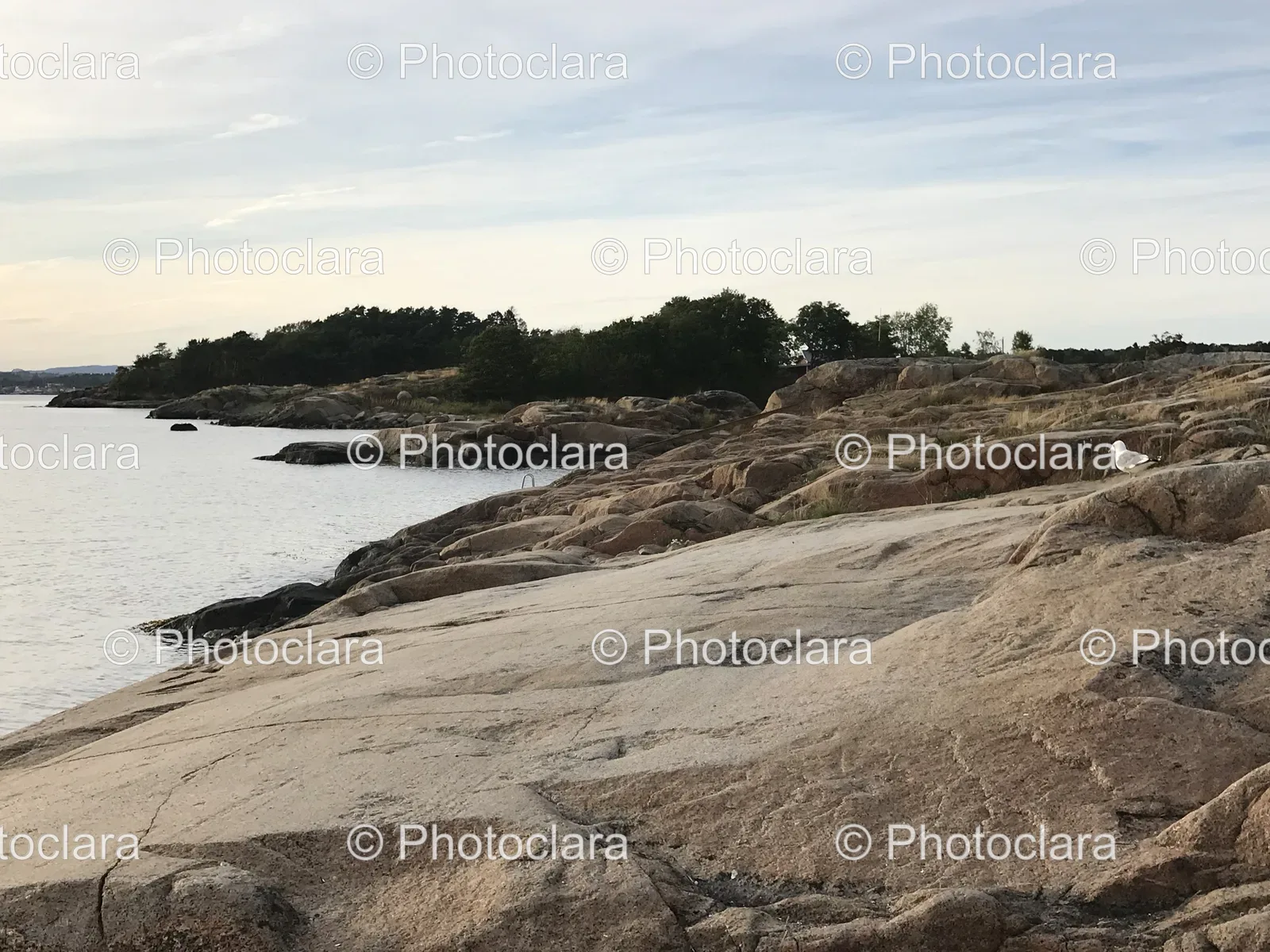 tranquil-rocky-shoreline.jpg