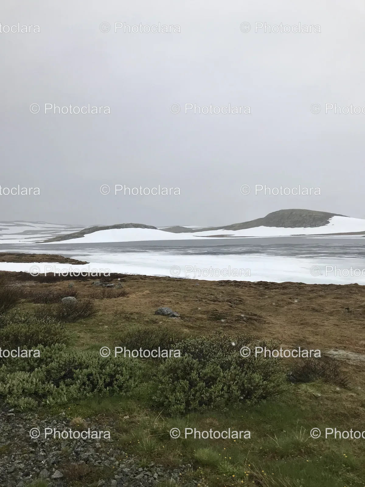 Snowy-Coastal-Landscape.jpg