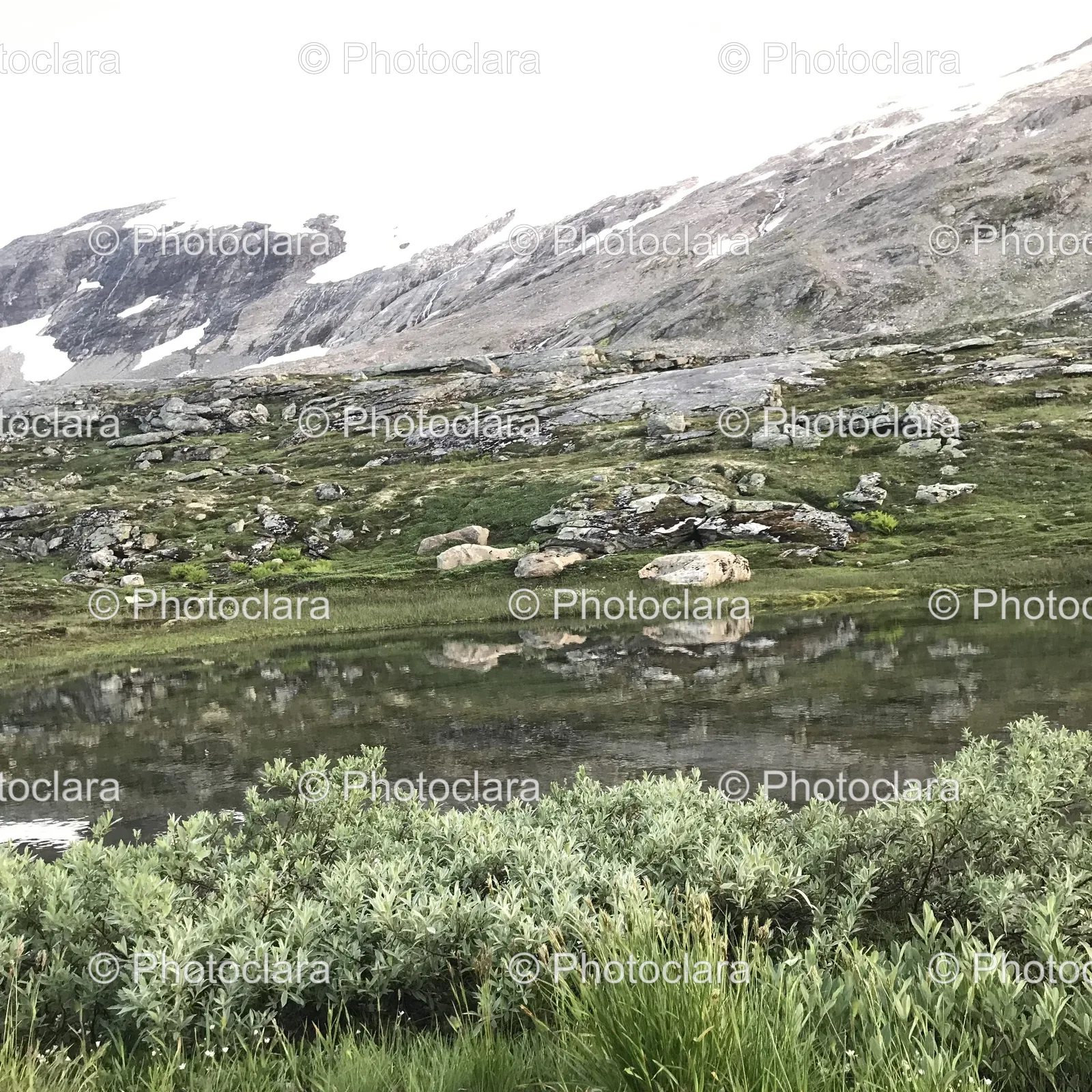 serene-mountain-lake-view.jpg