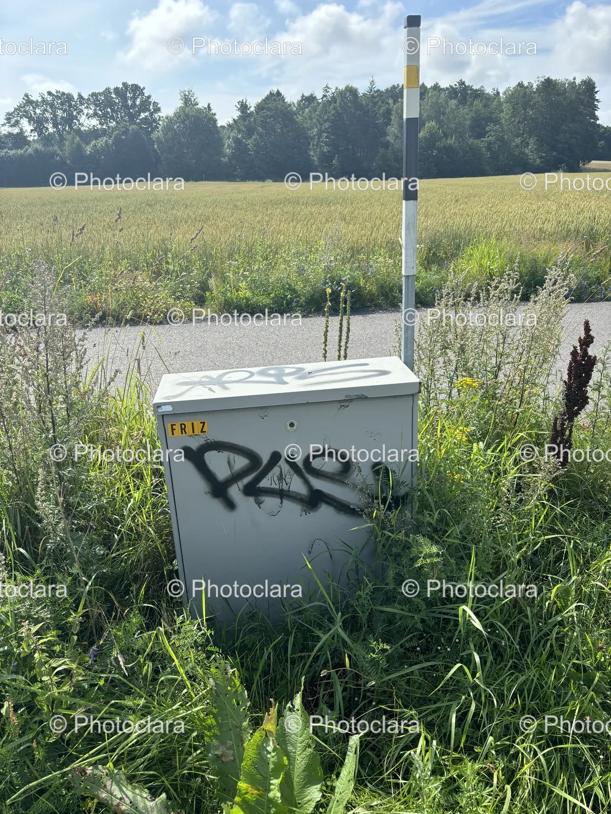 Box-In-The-Grass-On-A-Summer-Day.jpg