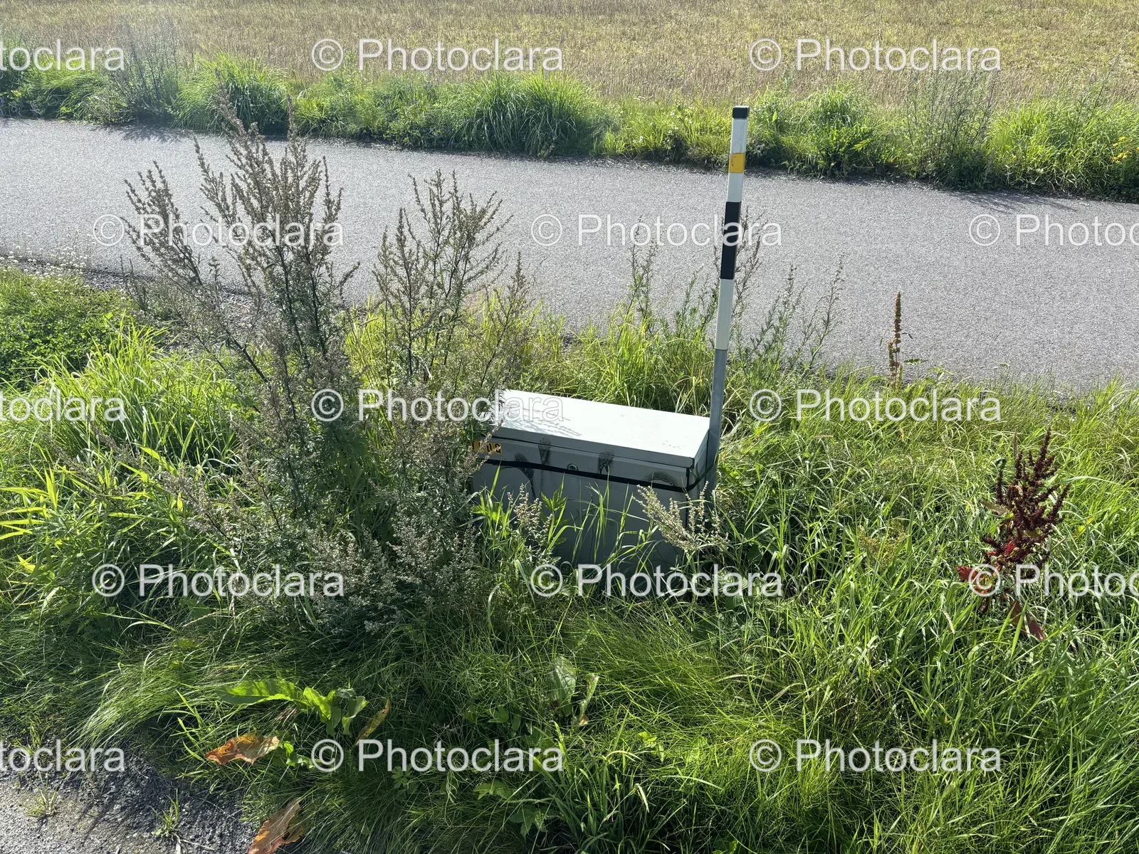 Box-in-the-Grass.jpg