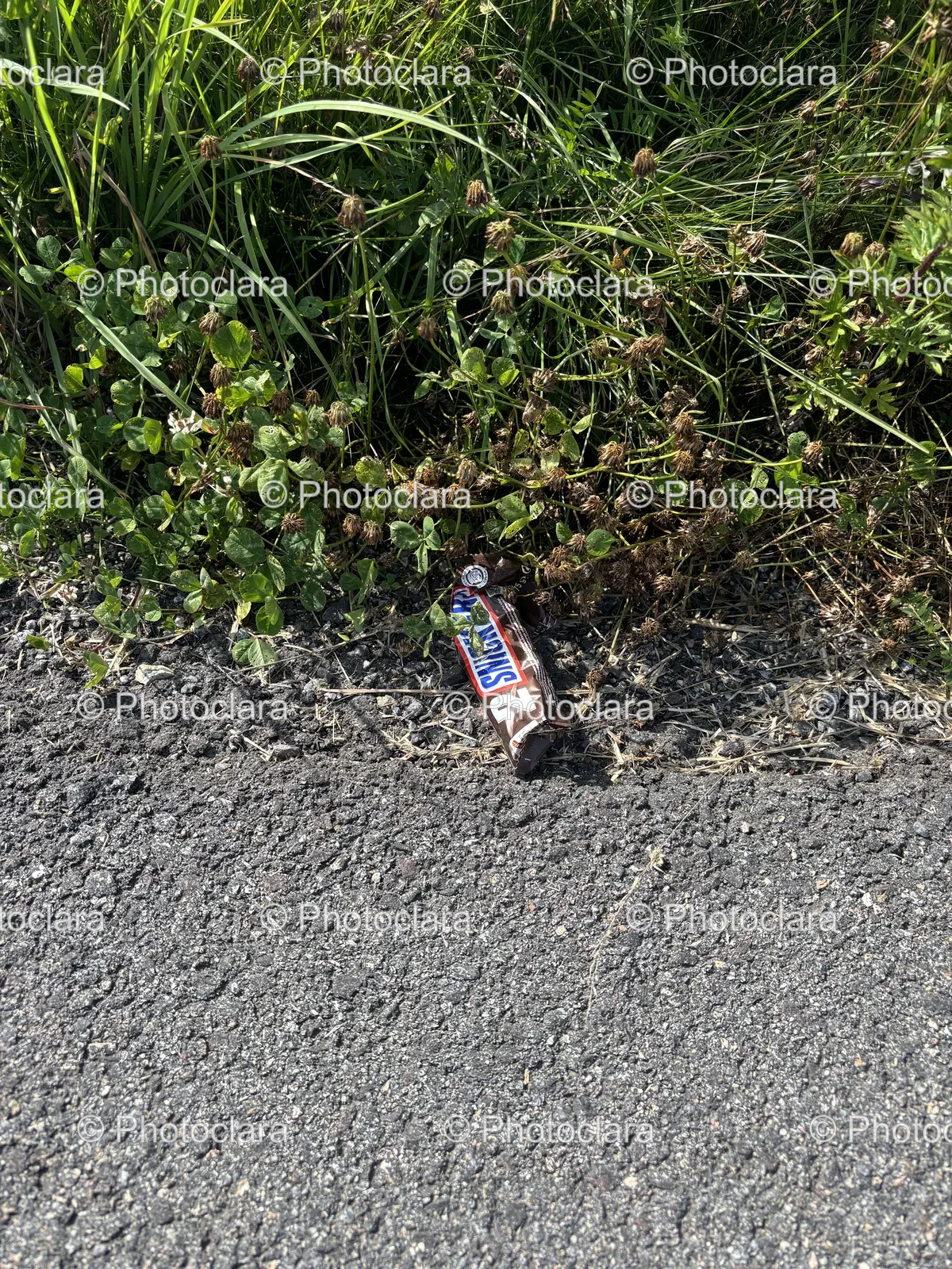 Candy-Bar-in-the-Grass.jpg