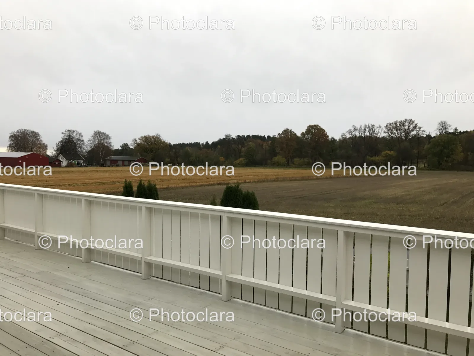 Deck-Overlooking-Lush-Field-and-Trees.jpg