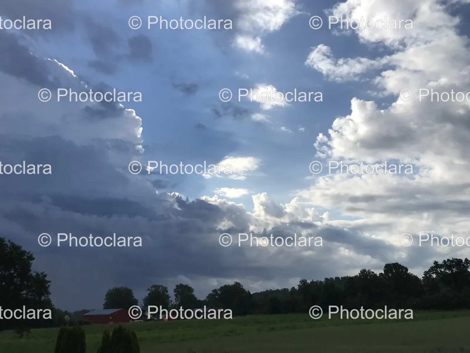 Field-with-Trees-Under-a-Cloudy-Sky.jpg
