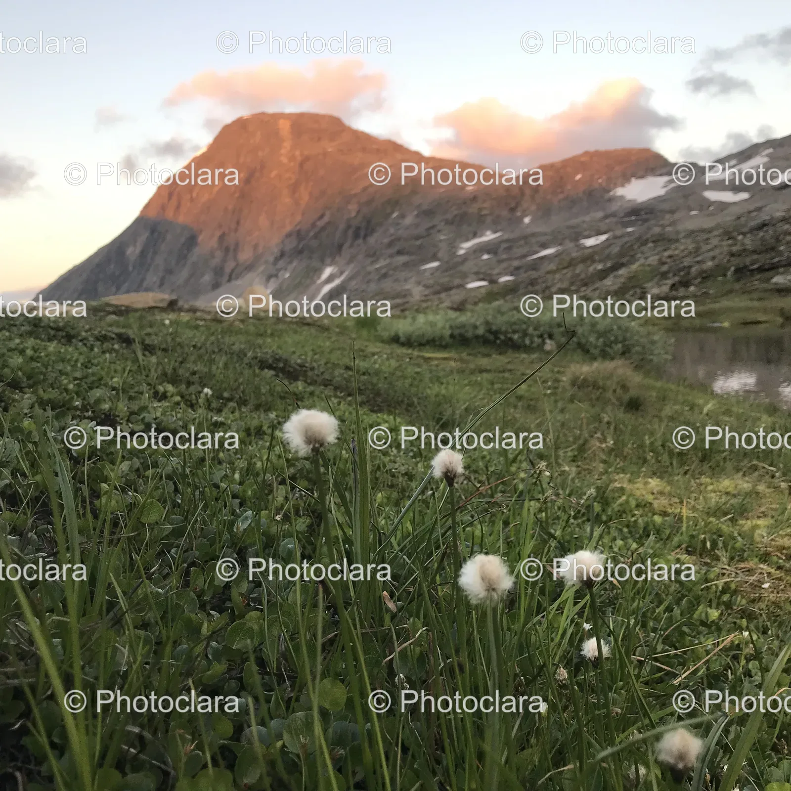 Grassy-Field-with-Mountain-in-the-Background.jpg