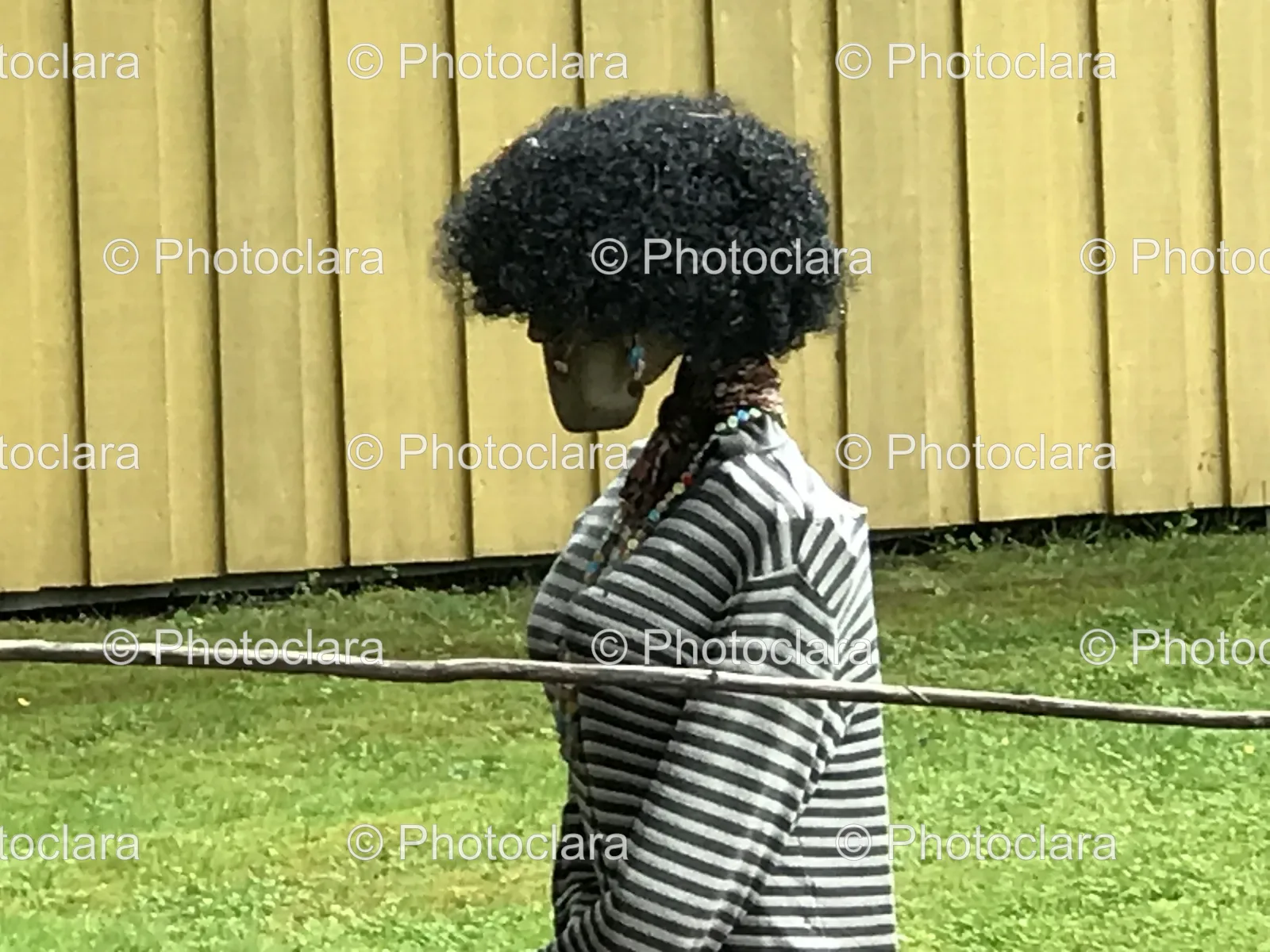 Person-in-a-Field-with-a-Wig.jpg