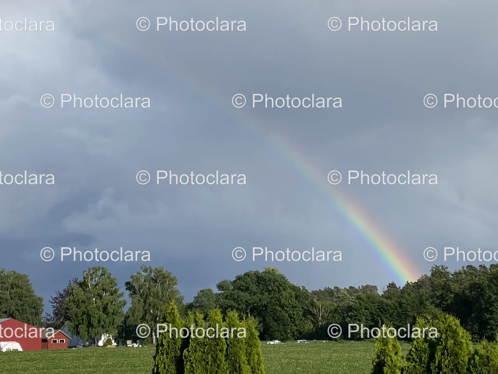 Rainbow-Over-a-Field.jpg