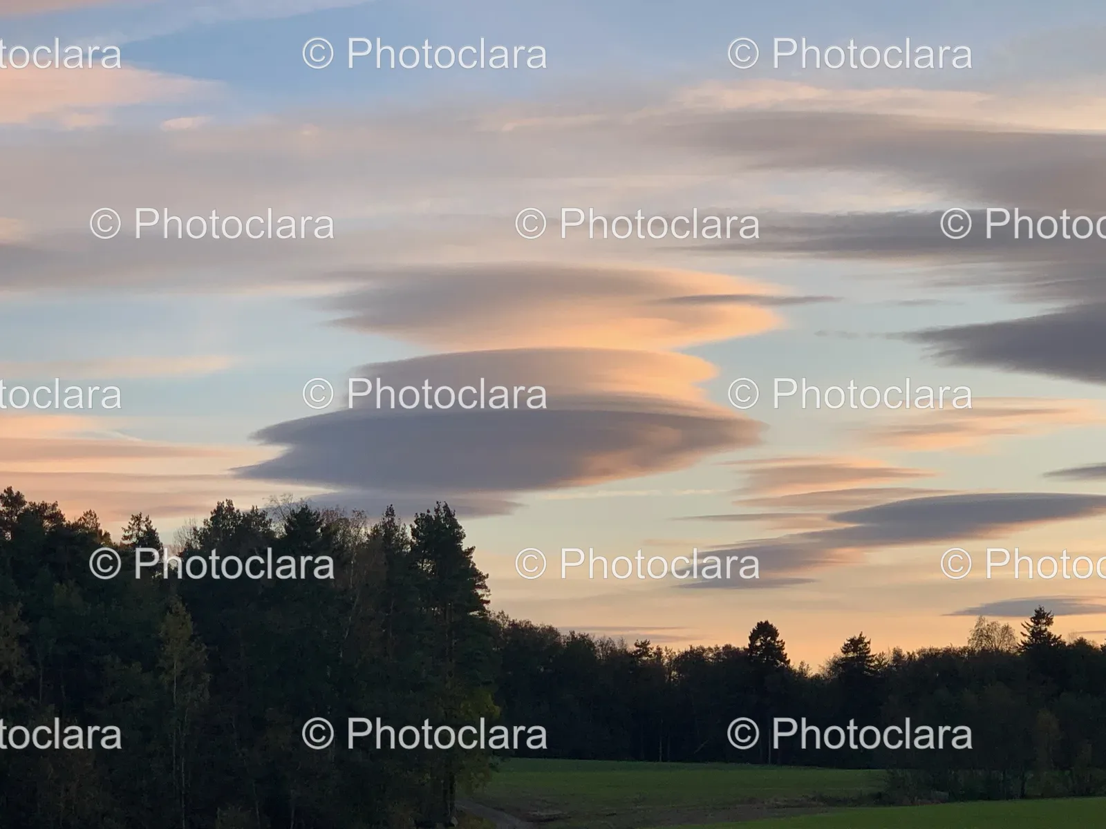 serene-trees-under-cloudy-sky.jpg