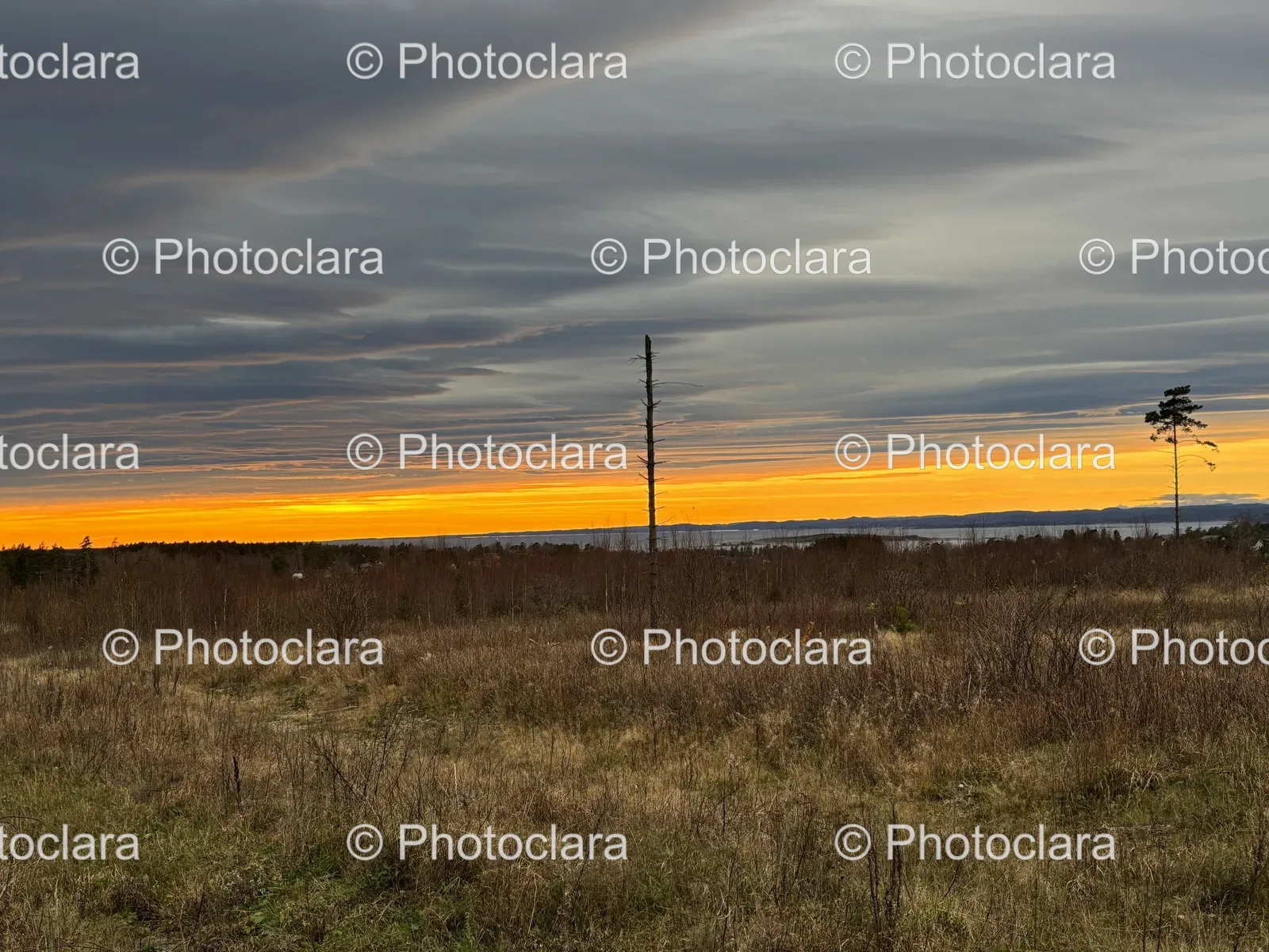 tranquil-field-with-distant-telephone-pole.jpg