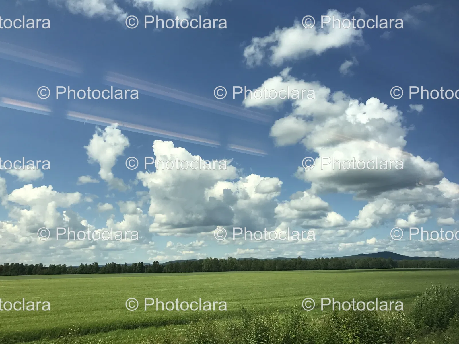 Verdant-Field-Under-a-Cloudy-Sky.jpg